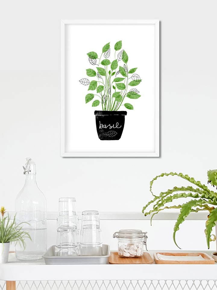 Basil_frame2