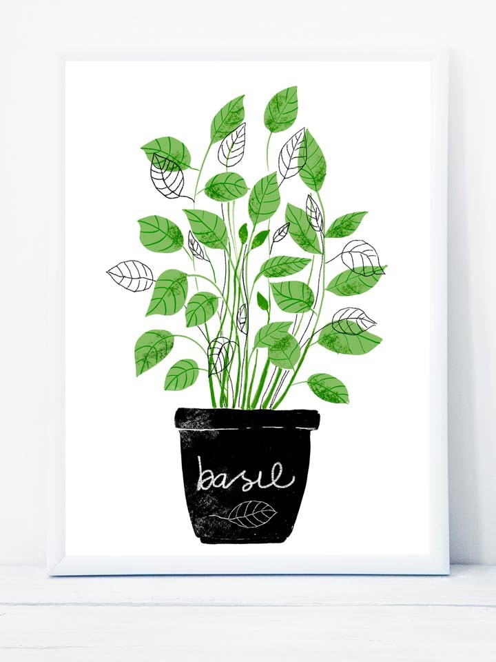 Basil_frame3