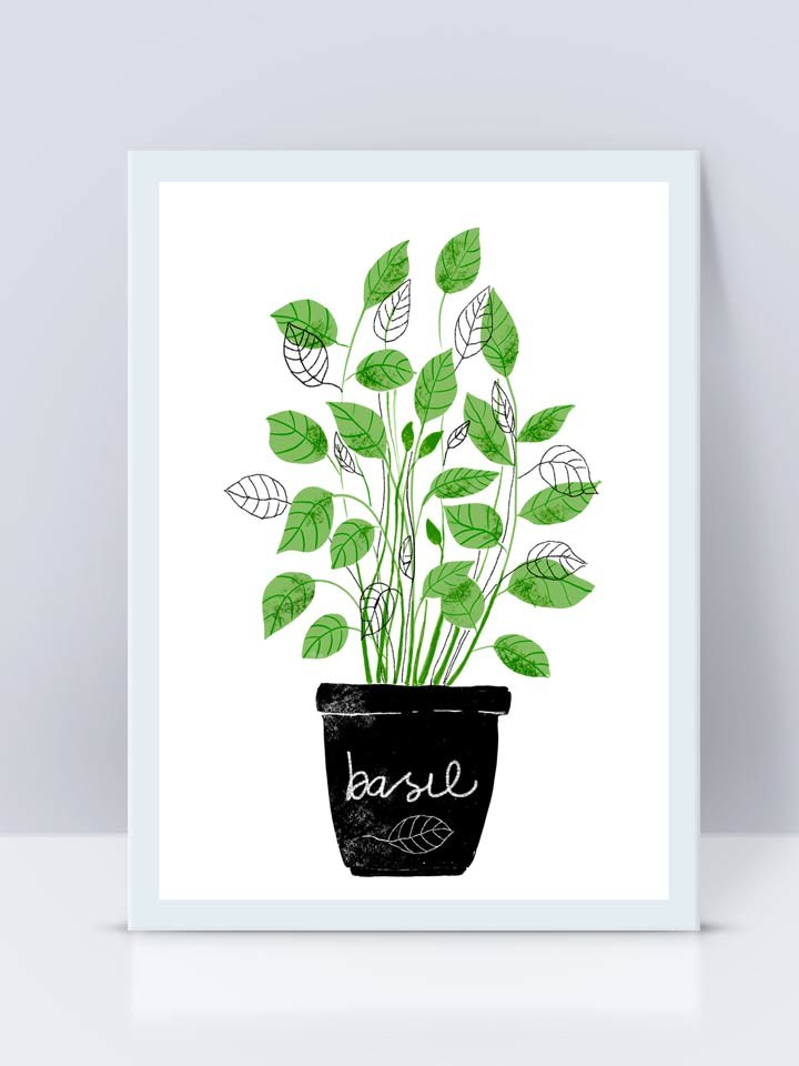 Basil_frame